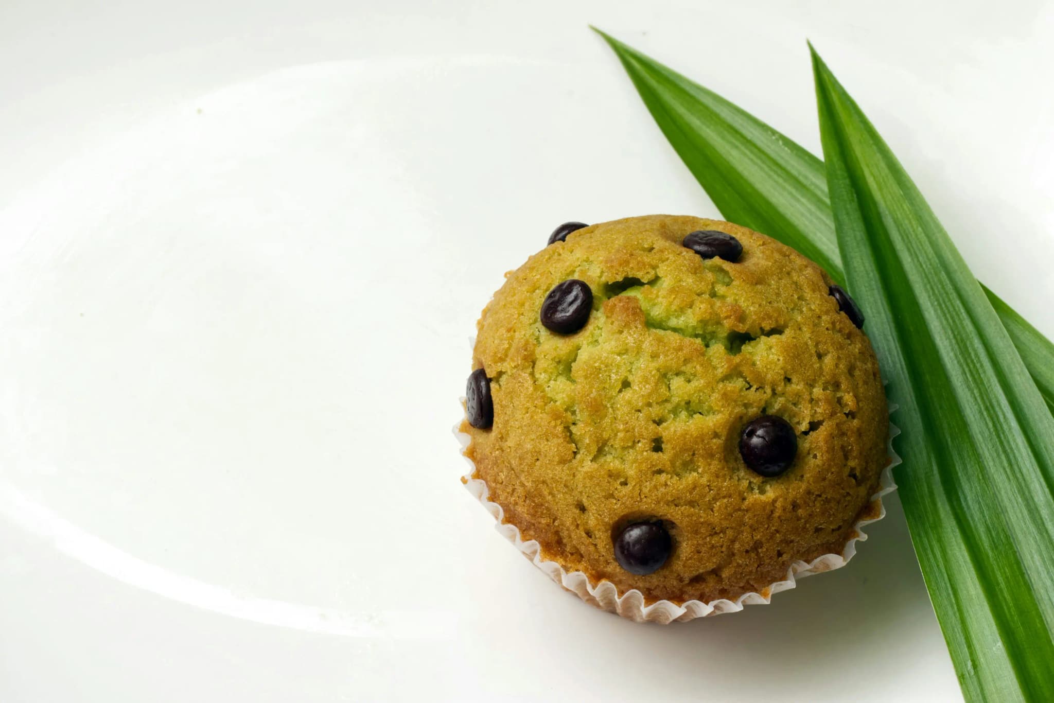 Pandan muffin with chocolate chips and fresh leaves